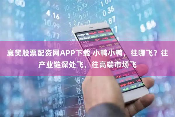 襄樊股票配资网APP下载 小鸭小鸭,往哪飞?往产业链深处飞,往高端市场飞