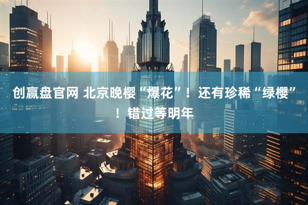 创赢盘官网 北京晚樱“爆花”!还有珍稀“绿樱”!错过等明年